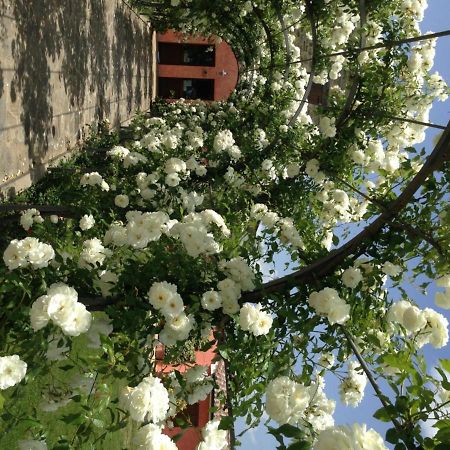 Agriturismo Casale Le Selvette Ripa エクステリア 写真