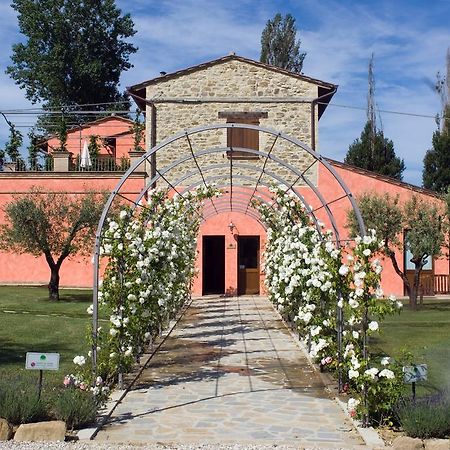Agriturismo Casale Le Selvette Ripa エクステリア 写真
