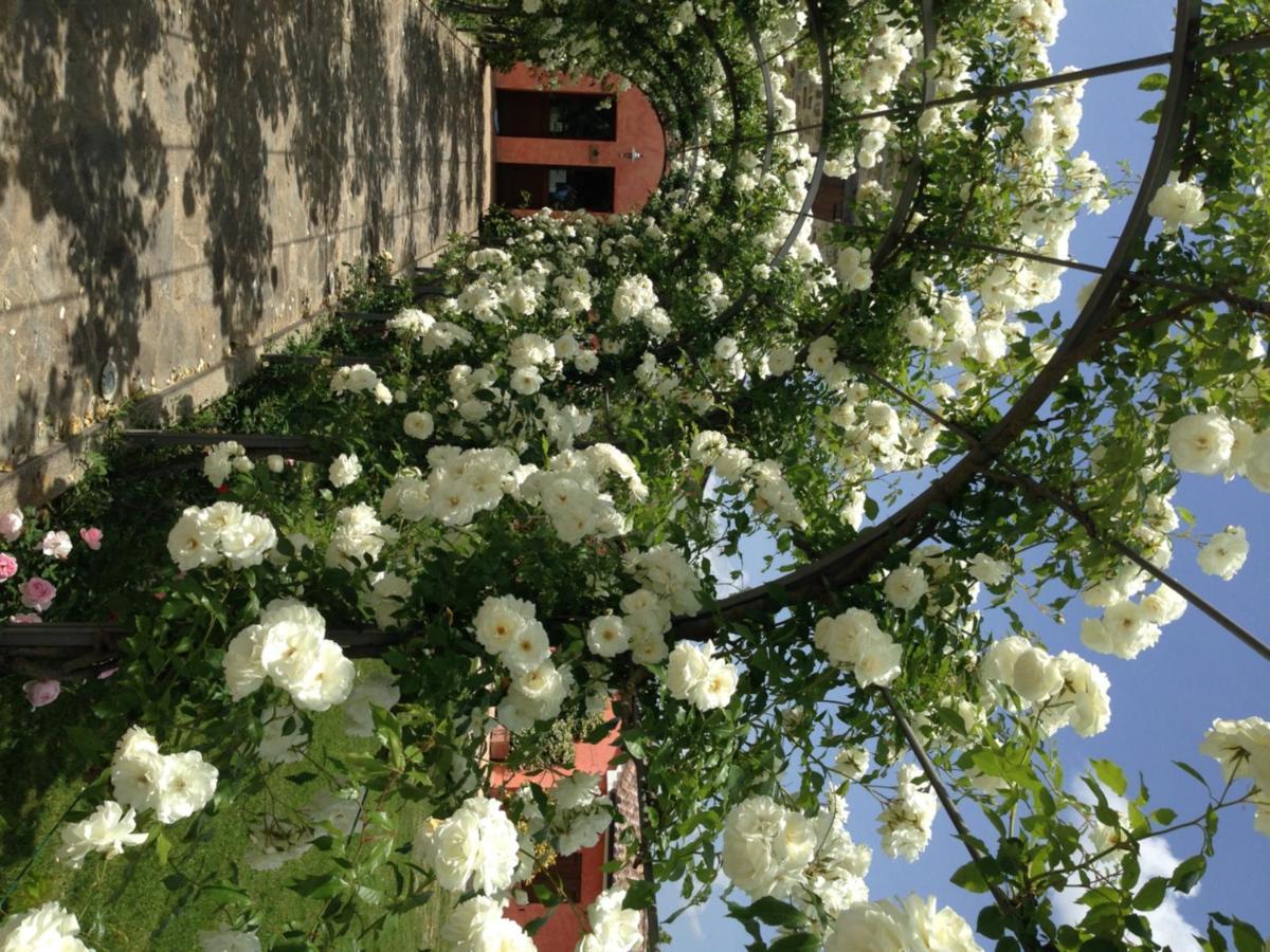 Agriturismo Casale Le Selvette Ripa エクステリア 写真