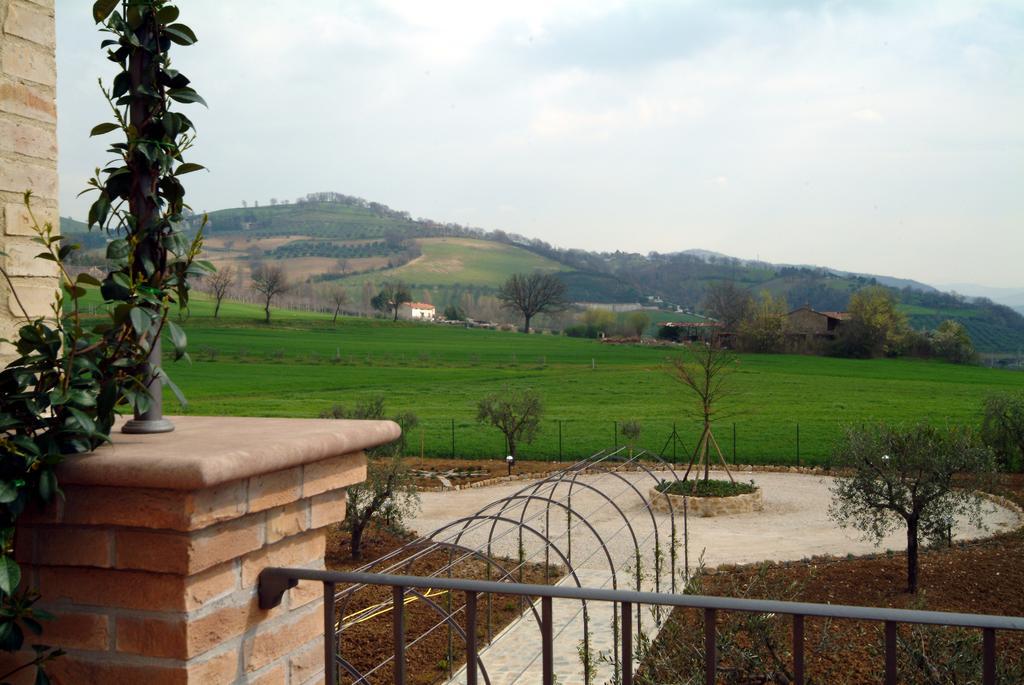 Agriturismo Casale Le Selvette Ripa エクステリア 写真
