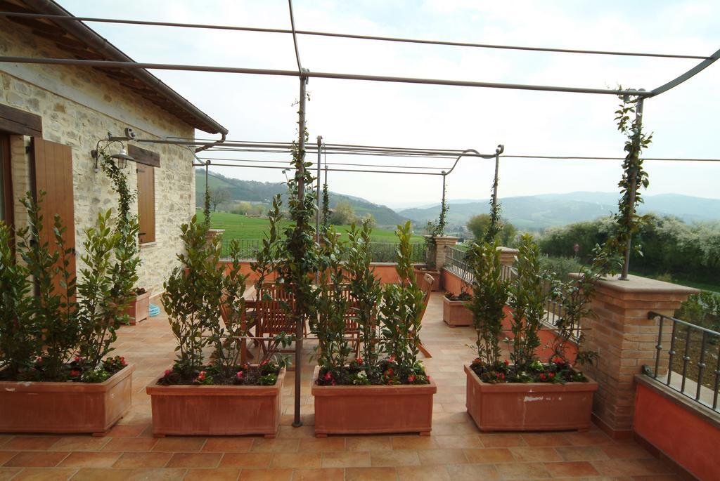 Agriturismo Casale Le Selvette Ripa エクステリア 写真
