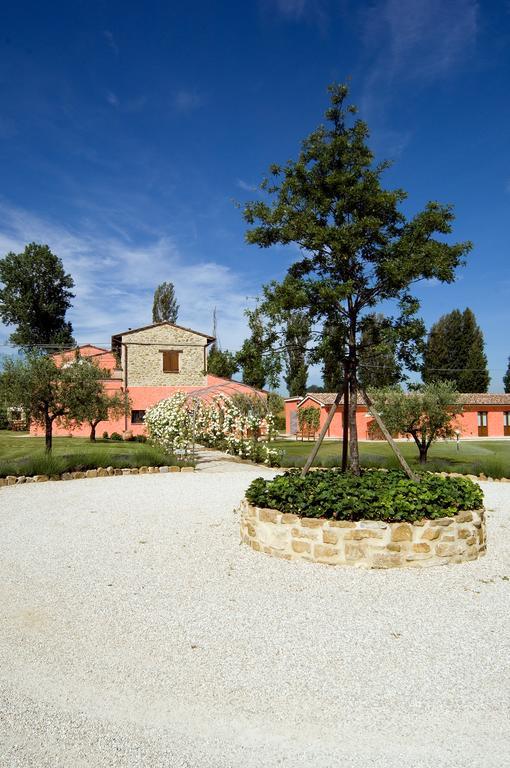 Agriturismo Casale Le Selvette Ripa エクステリア 写真