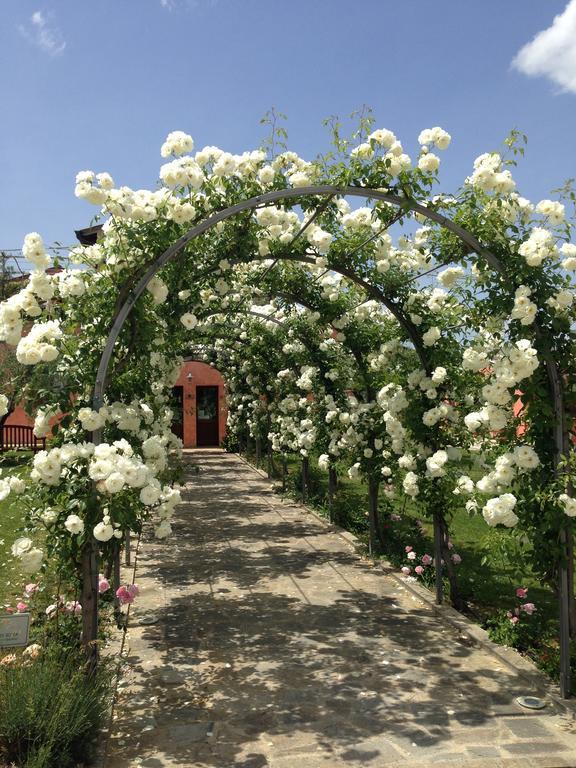 Agriturismo Casale Le Selvette Ripa エクステリア 写真
