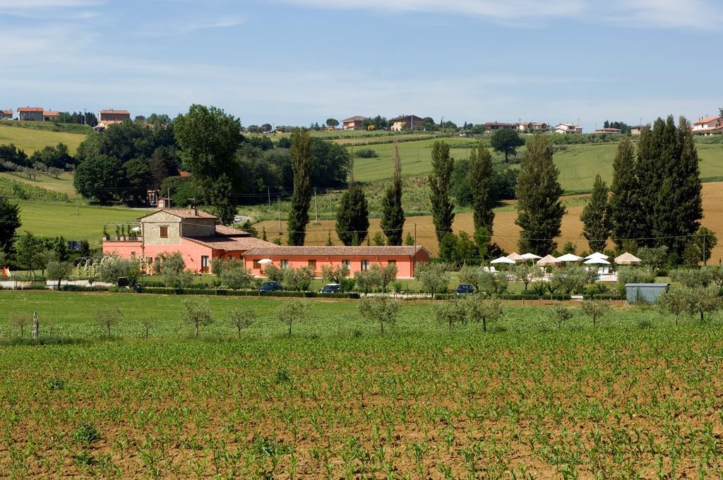 Agriturismo Casale Le Selvette Ripa エクステリア 写真