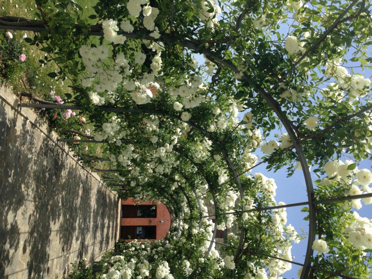 Agriturismo Casale Le Selvette Ripa エクステリア 写真