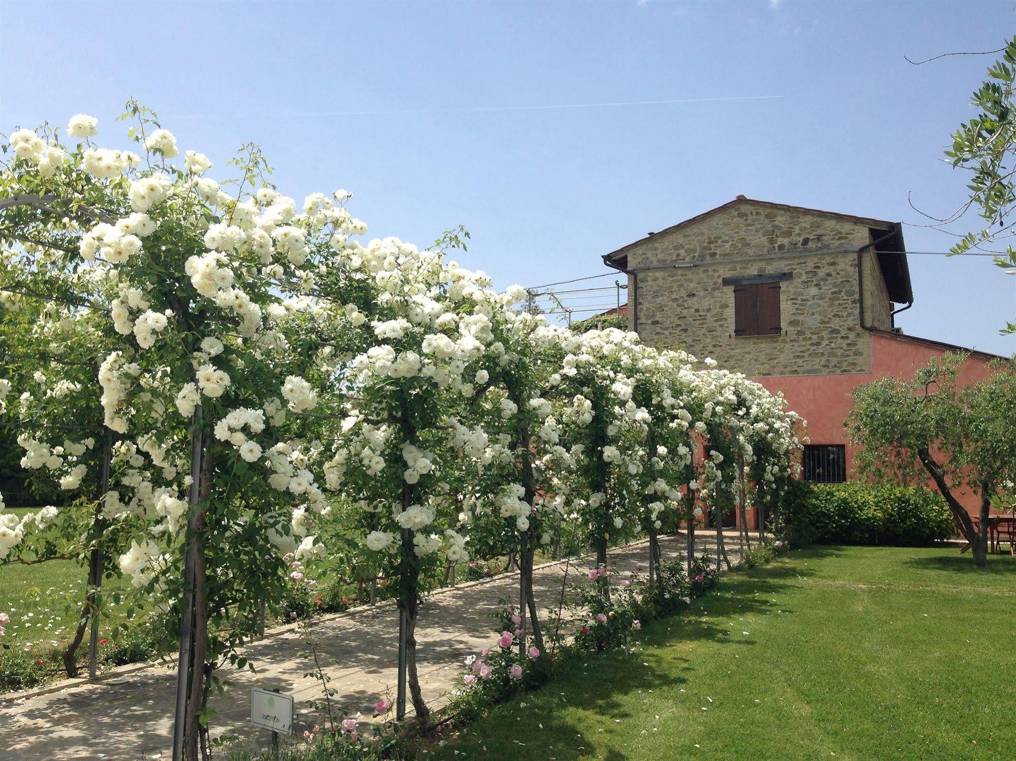 Agriturismo Casale Le Selvette Ripa エクステリア 写真